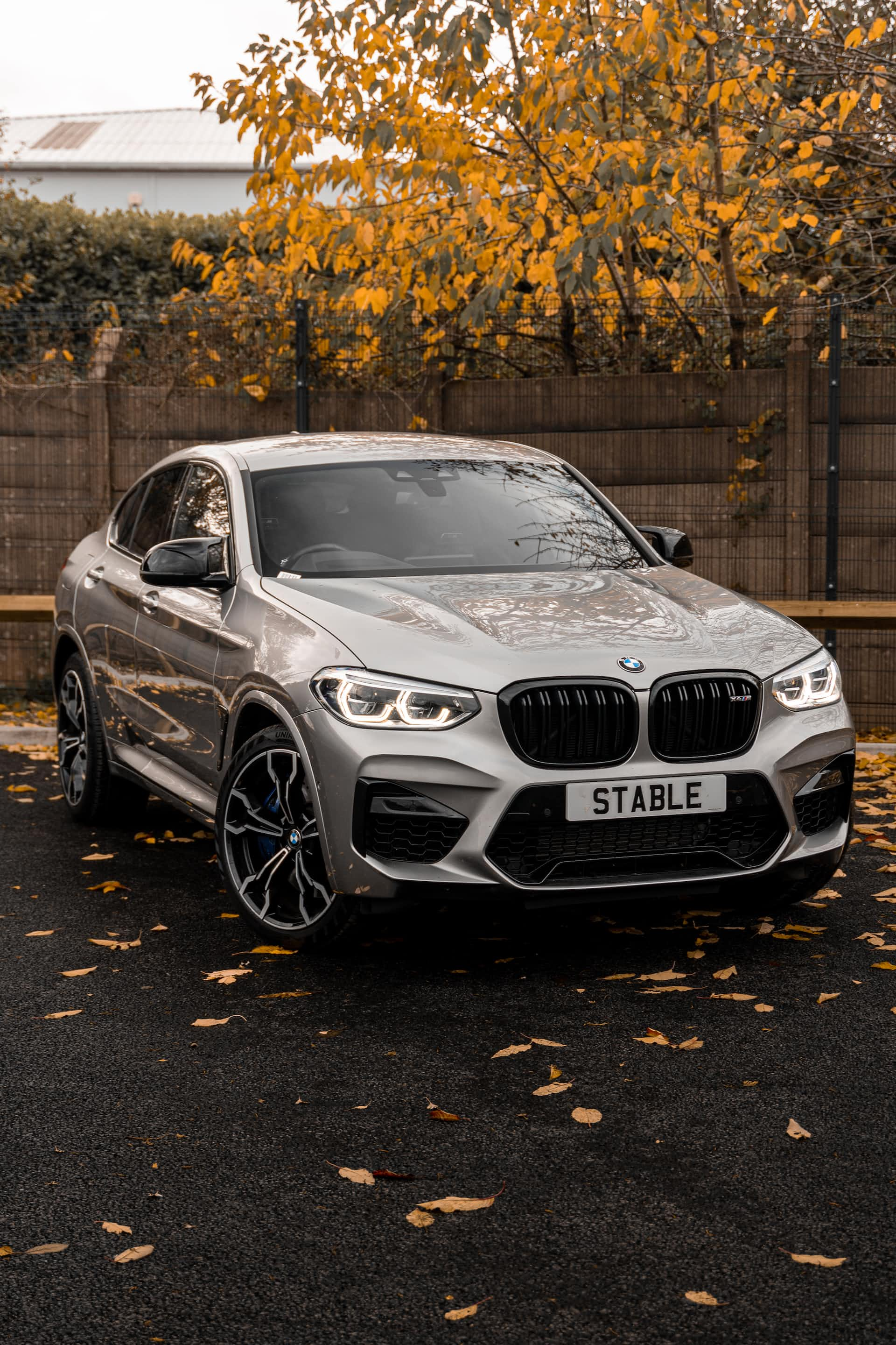 купить BMW X6M в США