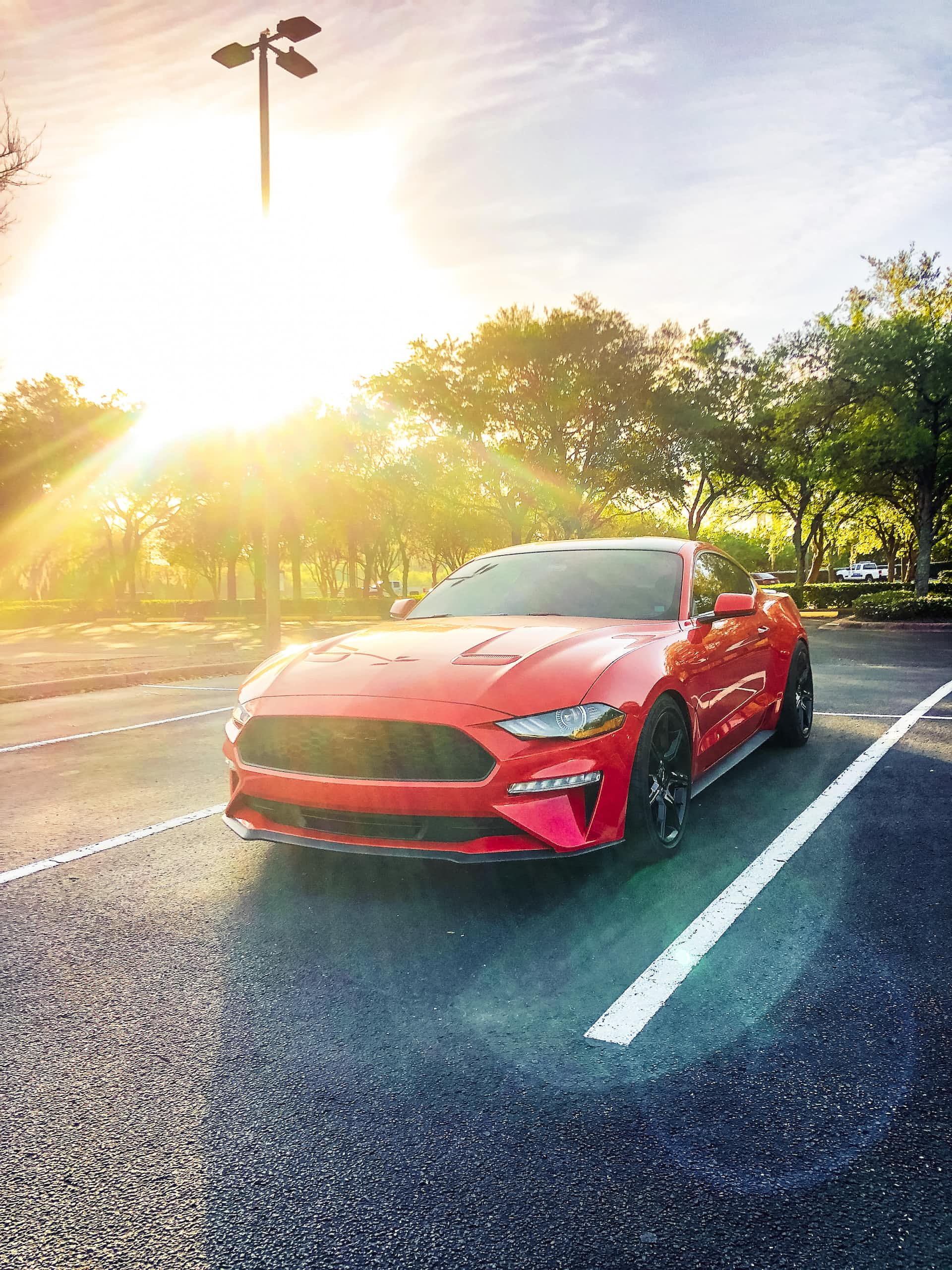 Купить Ford Mustang в США